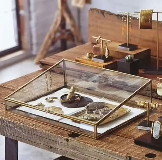 Myth Display Case — Large